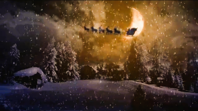 Shawn Rae - Sleigh Ride