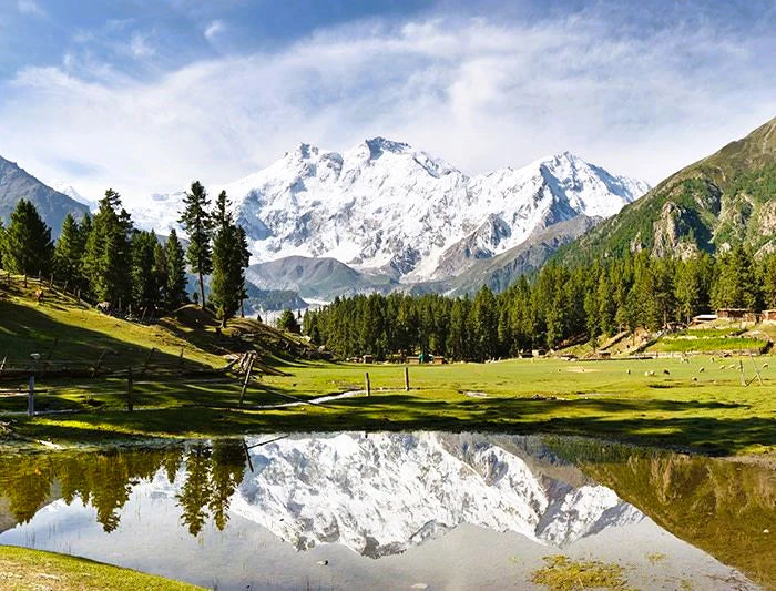 Snow-capped mountain peak reflecting in a calm lake surrounded by pine trees