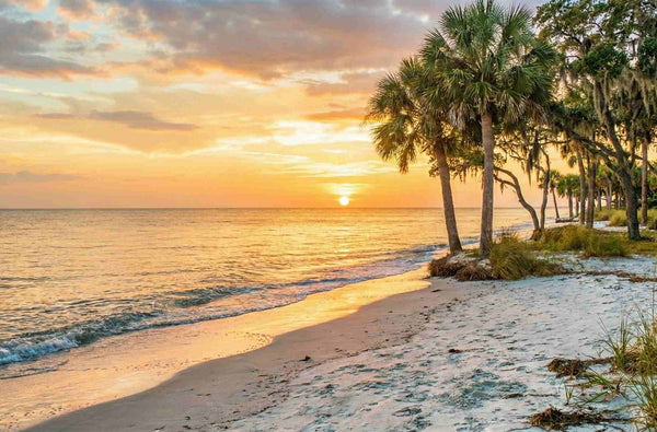 Tropical beach sunset with golden skies and palm trees along the shore